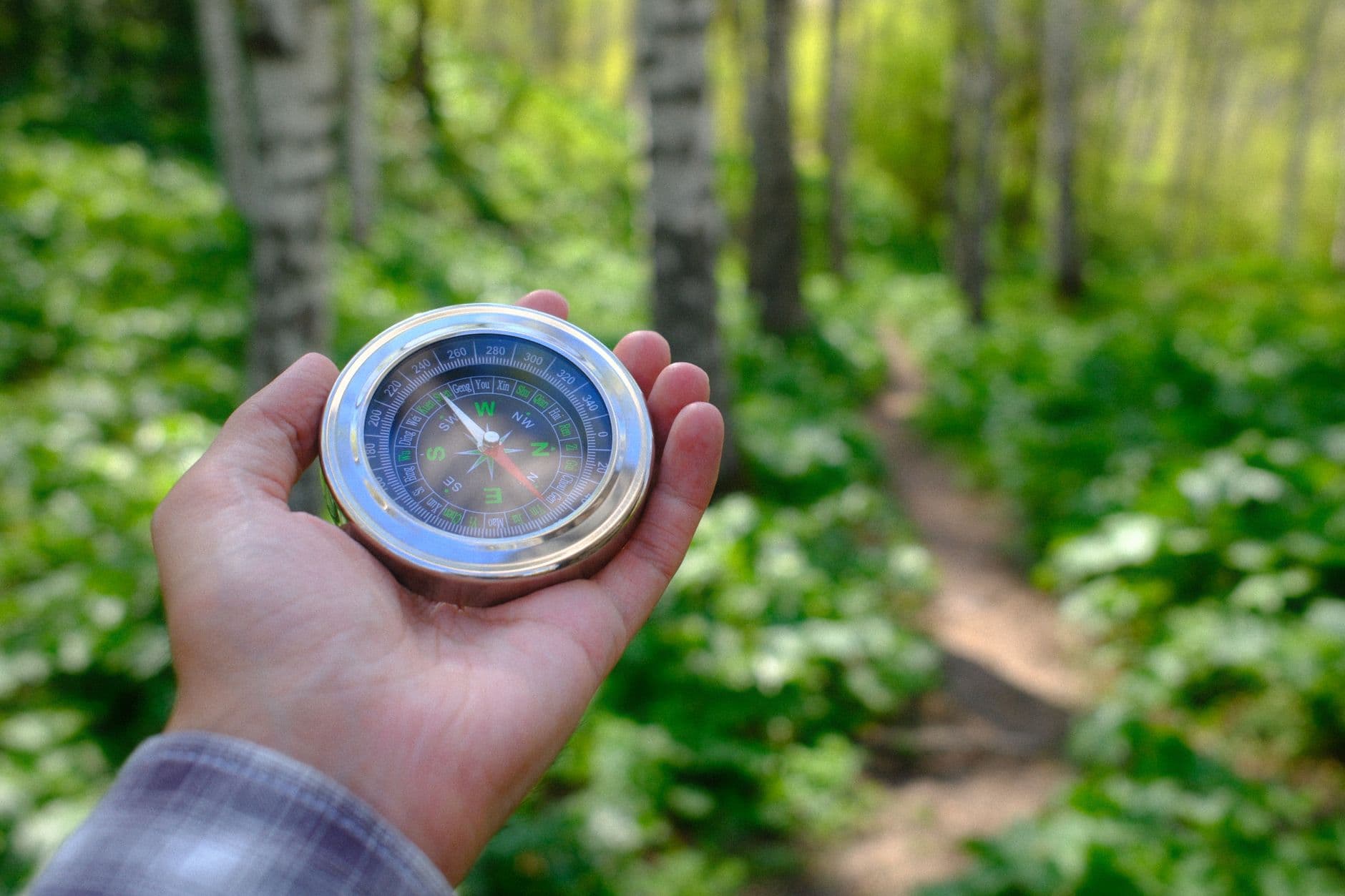 A hand holding a compass above a green woodland path